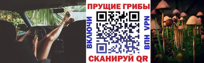 даркнет формула  Кисловодск  Галлюциногенные грибы Magic Shrooms  магазин  наркотиков  ссылка на мегу зеркало 