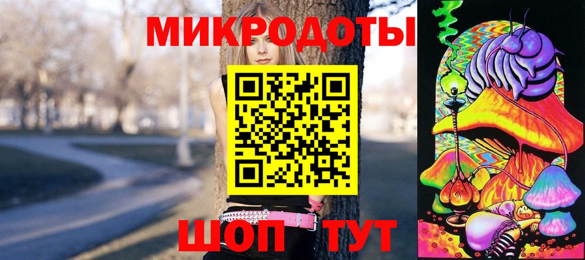 Псилоцибиновые грибы Psilocybe Кисловодск