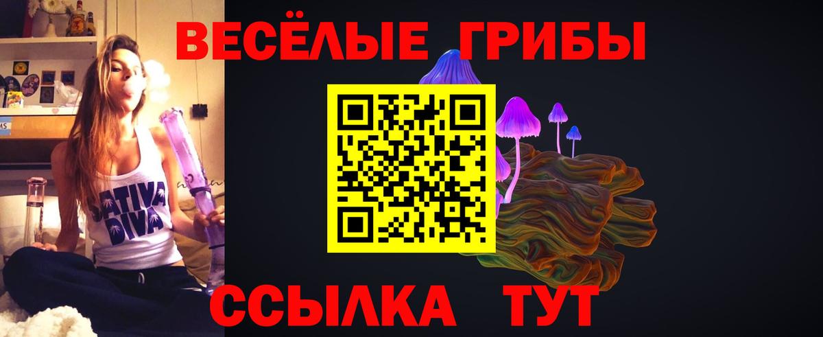 Галлюциногенные грибы прущие грибы  Вход с VPN  Кисловодск 
