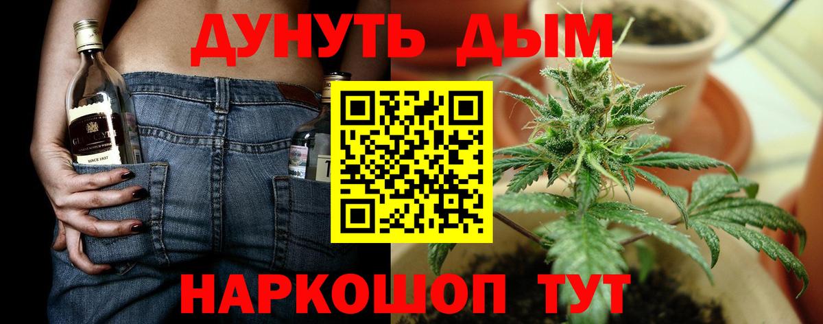 Кисловодск  Конопля тримм  Вход с VPN  Конопля Bruce Banner 