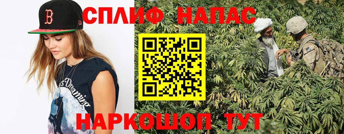 Конопля AK-47 Кисловодск